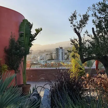 Three House 4* فونشال