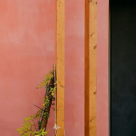 Three House Funchal (Madeira)