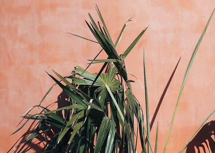 Hotel Three House Funchal (Madeira)