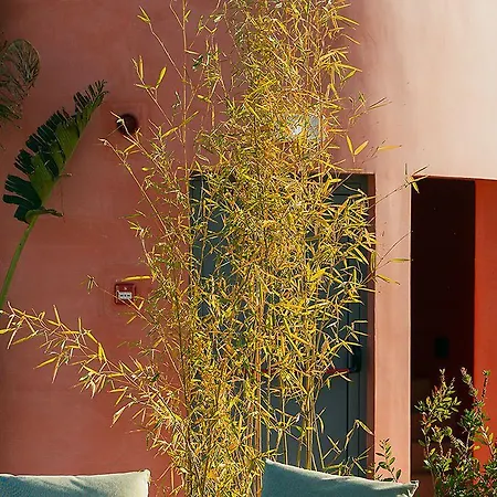 Three House Hotel 4*