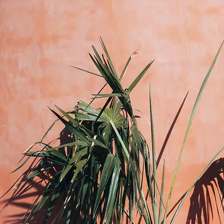 Hotel Three House Funchal (Madeira)