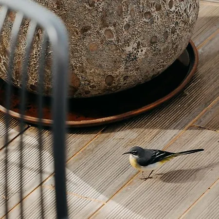 Otel Three House Funchal