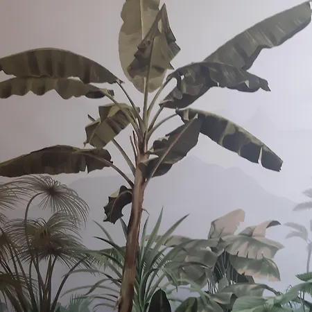 Three House Otel Funchal