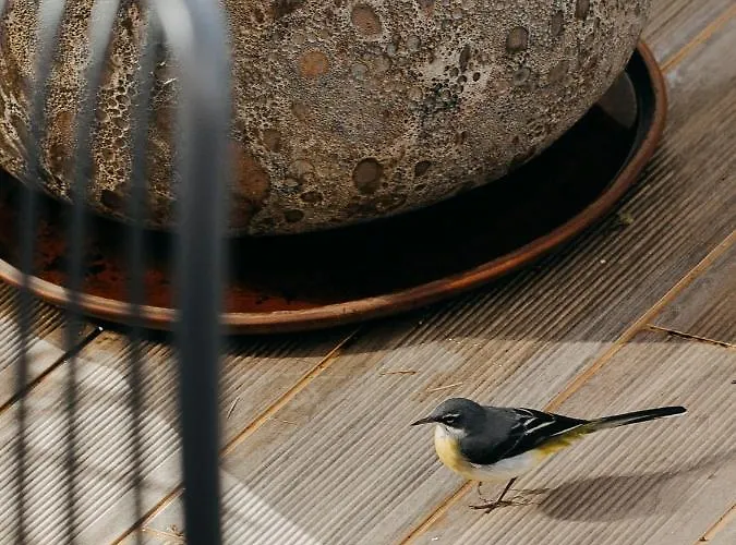 Hotel Three House Funchal (Madeira)