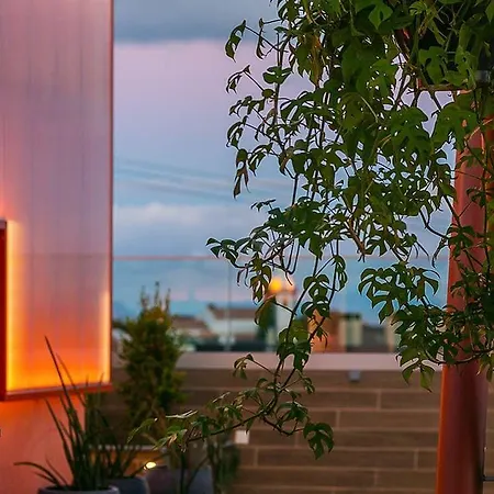 Hotel Three House 4*